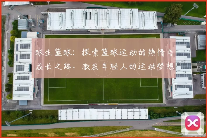 球生篮球：探索篮球运动的热情与成长之路，激发年轻人的运动梦想与团队精神