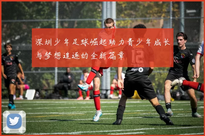 深圳少年足球崛起助力青少年成长与梦想追逐的全新篇章