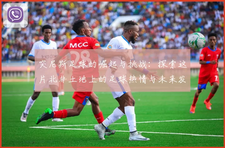 突尼斯足球的崛起与挑战：探索这片北非土地上的足球热情与未来发展