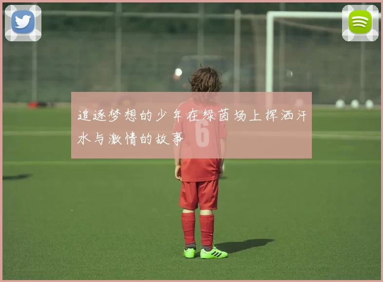 追逐梦想的少年在绿茵场上挥洒汗水与激情的故事