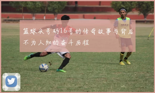 篮球衣号码16号的传奇故事与背后不为人知的奋斗历程