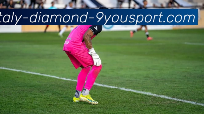 九游体育发展历程